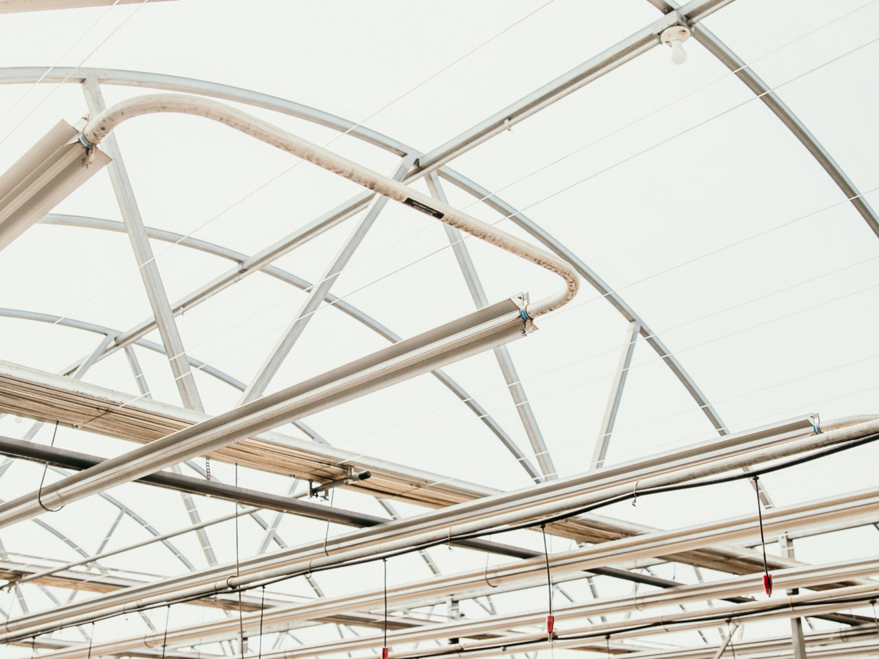 arched greenhouse ceiling