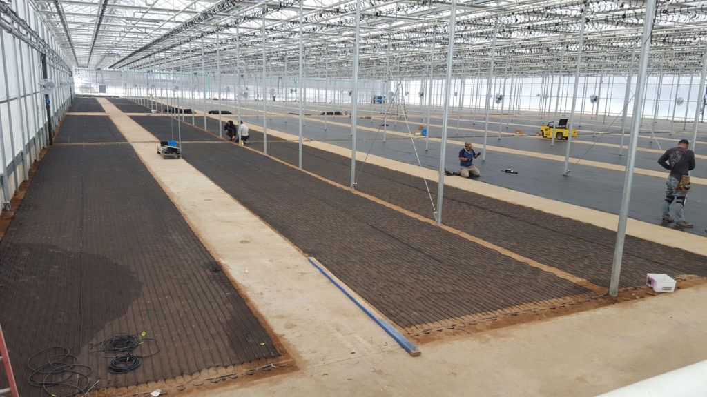 michael's biotherm microclimate heater floor during installation