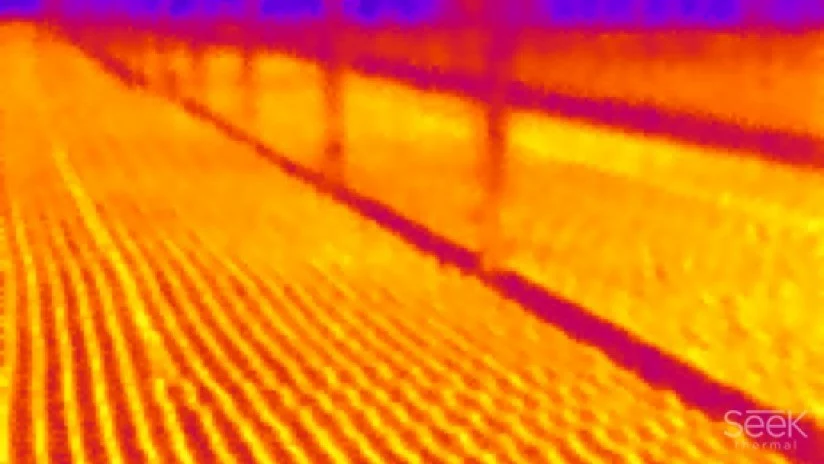 Michael's greenhouse thermal photograph