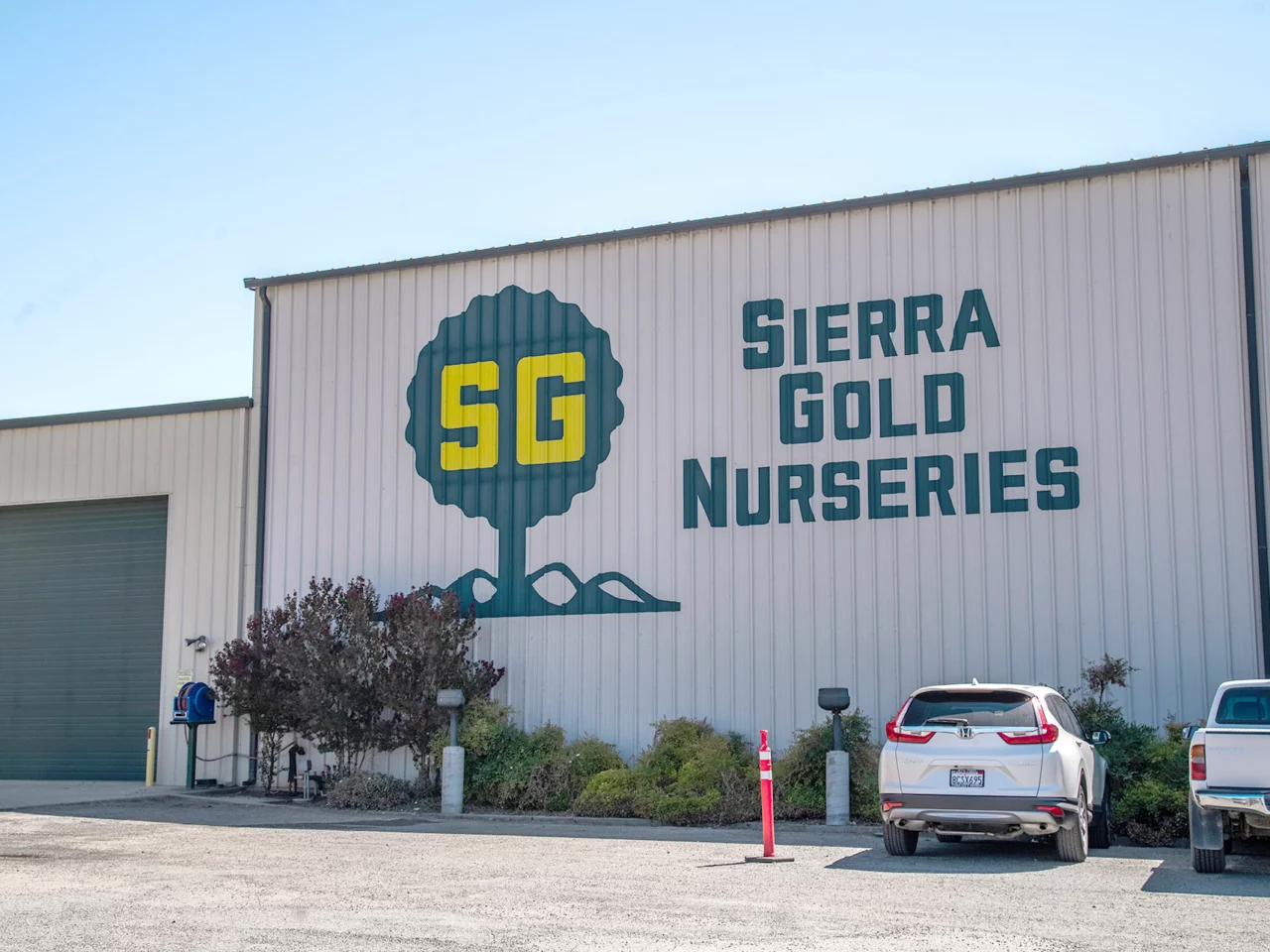 sierra gold nurseries in yuba city, california