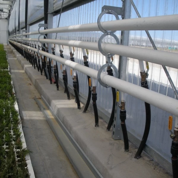 HDX in greenhouse