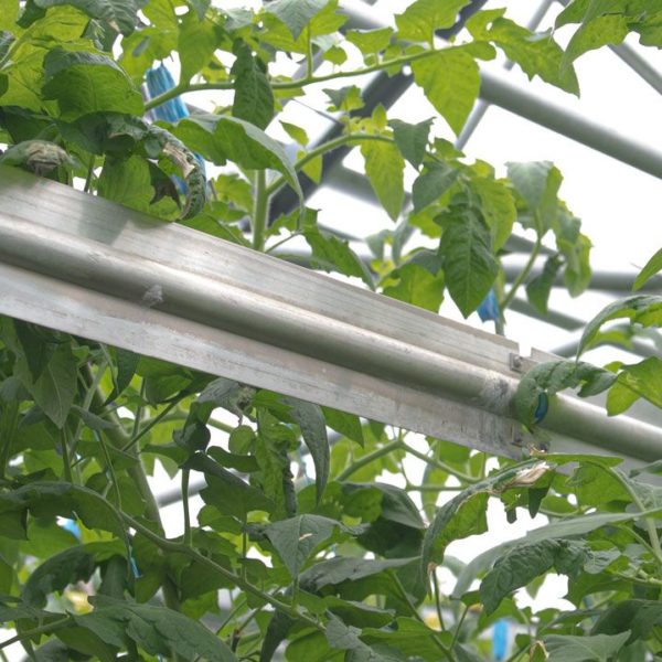 biotherm duofin installed within the greenhouse crop
