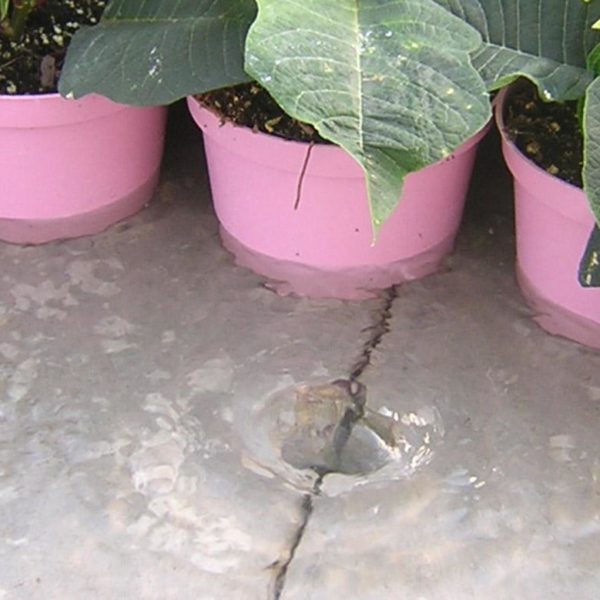 suelo inundable instalado en un invernadero