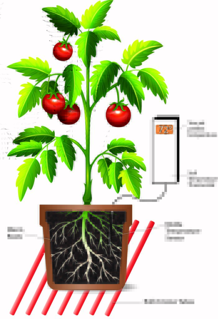 roll and grow tubes diagram