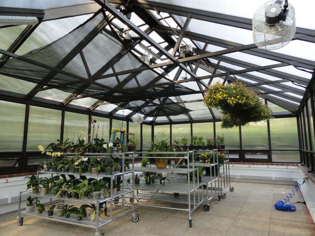 greenhouse interior photograph