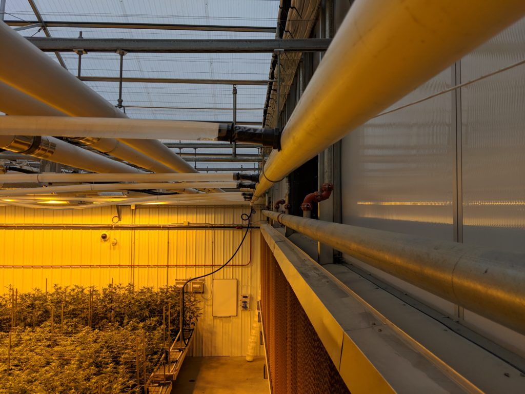 sistemas de soluciones biotérmicas en invernadero