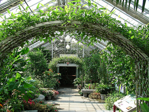 national arboretum indoor foliage and plants