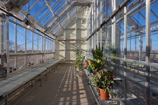 greenhouse on sunny day with plants growing