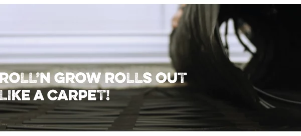 roll'n grow rolls out like a carpet